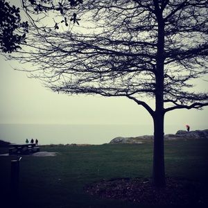 Meet your Posher, Krista